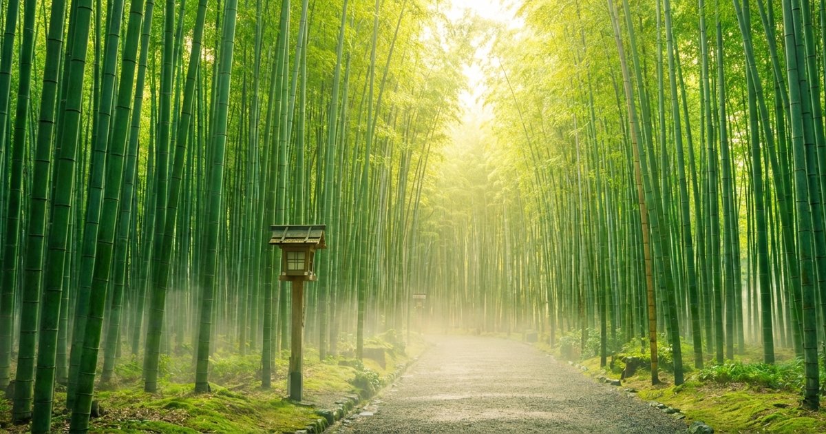 記録的ブームの先にある「次の日本」──中国との摩擦が映す、観光立国の成熟課題